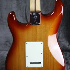 2021 Fender Player Plus Top Stratocaster Electric