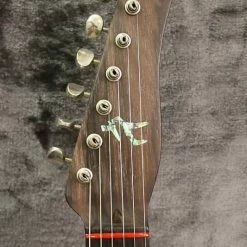 Empire Guitars Electric 1998 Spalt Reverse T