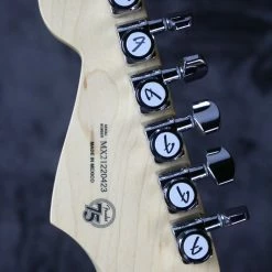 2021 Fender Player Plus Top Stratocaster Electric