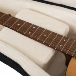Empire Guitars Gator Cases G-PG Pro Acoustic Gig Bag