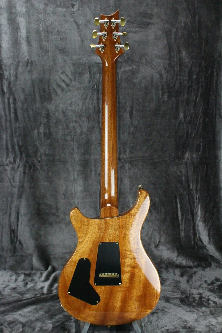 2019 Paul Reed Smith Custom 24 Electric