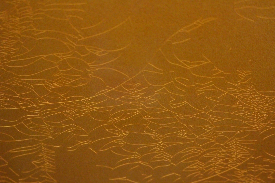 Empire Guitars Electric 2016 Fender Custom Shop LTD Smuggler's Telecaster