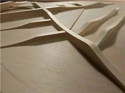 Yamaha FGX5 Red Label Natural With Hard Case *Free Shipping In The USA* Acoustic