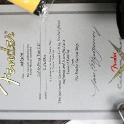 Empire Guitars Electric 2016 Fender Custom Shop LTD Smuggler's Telecaster