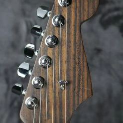 2017 Fender American Professional Stratocaster Limited Edition With Solid Rosewood Neck